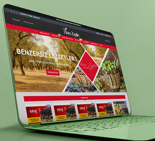 Ham Zeytin Online Satış Sitesi